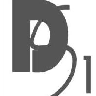Logo_DS1